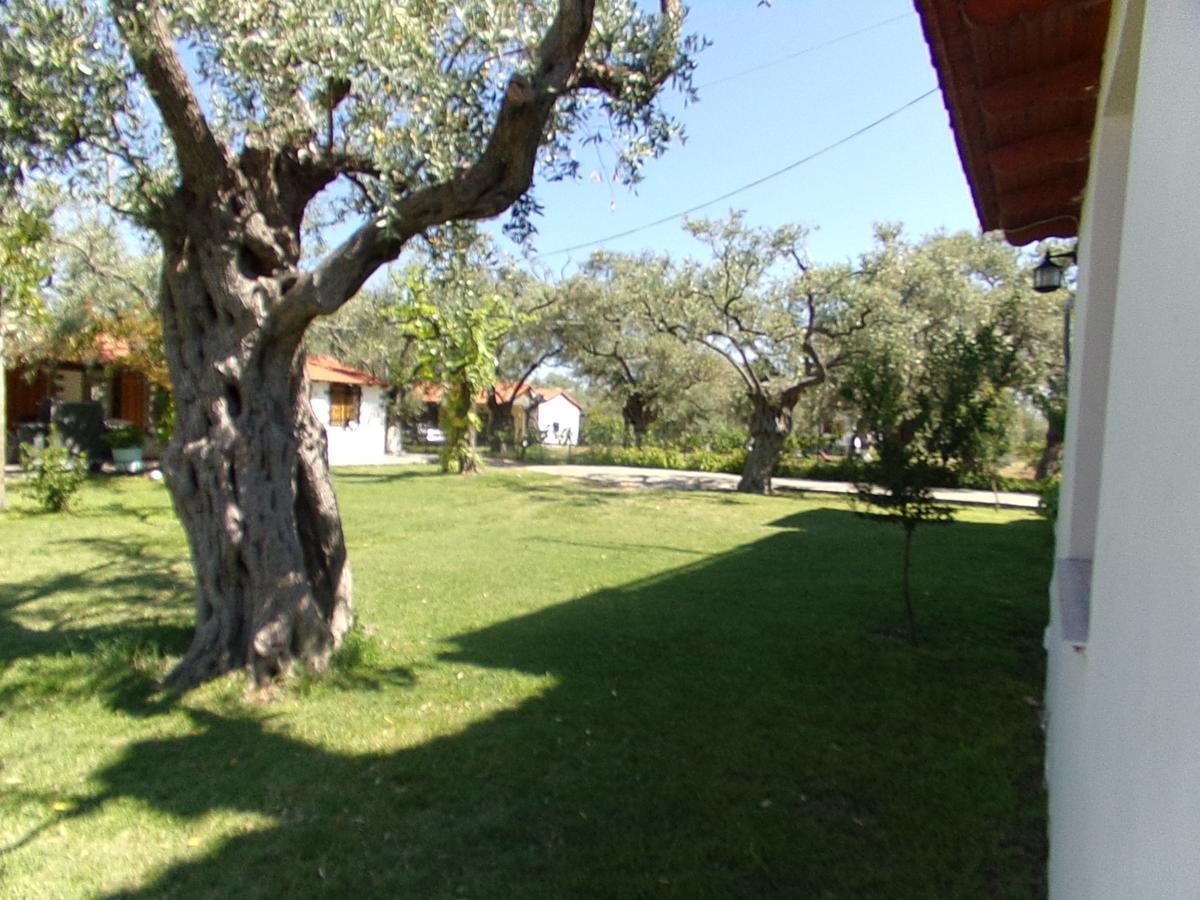 Villa Karapataki Skala Rachoni  Phòng bức ảnh